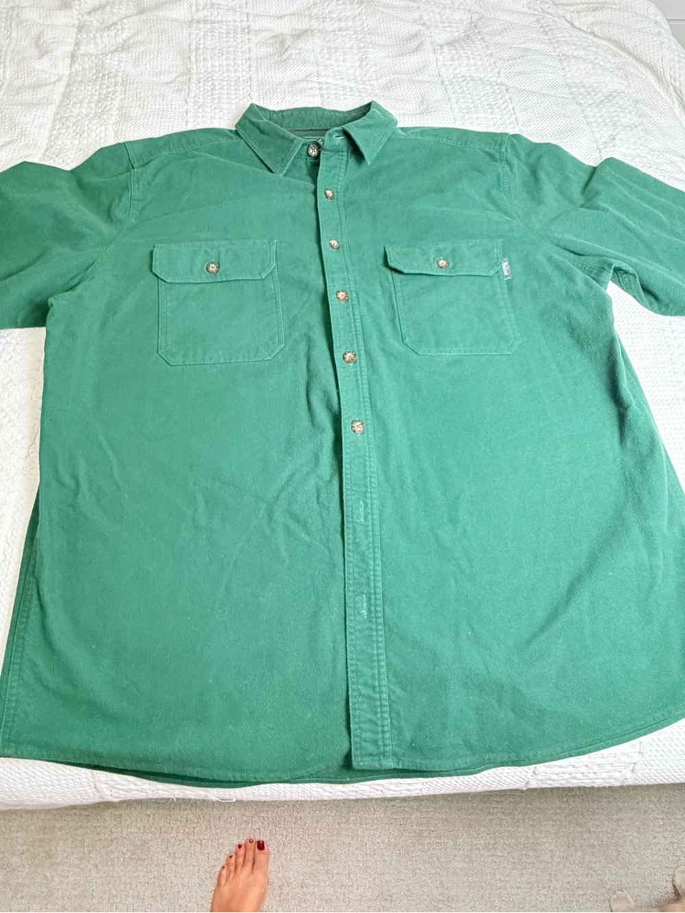 Woolrich Green Long-Sleeve Button-Down Work Shirt